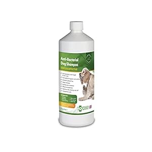 Aqueos Antibacterial, Antiviral �...