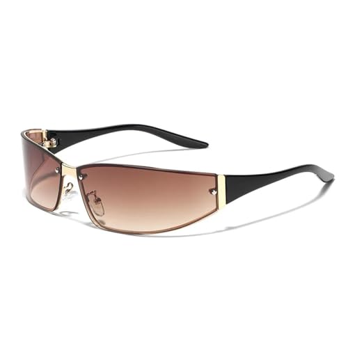 Lunettes de soleil pour femmes avec verres dégradés chic et monture en métal élégante