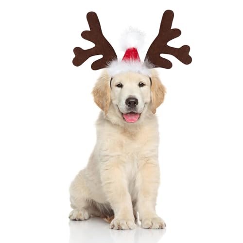 Rentiergeweih Hund, Weihnachten Haustier Stirnband, Verstellbarer Rentier Geweih für Hunde, Rentier Haarreif Hund, Hunde Weihnachtskostüm, für Katzen und Hundes im Winter und zu Weihnachten (A)