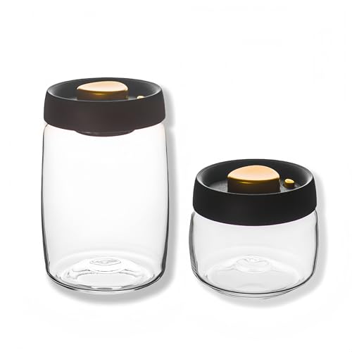 【2 サイズセット】1200mL+500mL 真空キャニスター 真空密封式コーヒー豆 保存容器 ** 排気弁付き防湿防塵・耐冷耐熱ガラス製 ハチミツ・スパイス保存に最適 密封性良&洗いやすい 家庭・キッチン・カフェ用