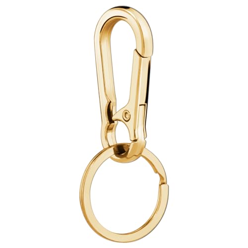 Hapeper Keychain Key Clips Metal Key Ring Key Chain Rings Keyring for Home Car Key Organizer (1, Gold)