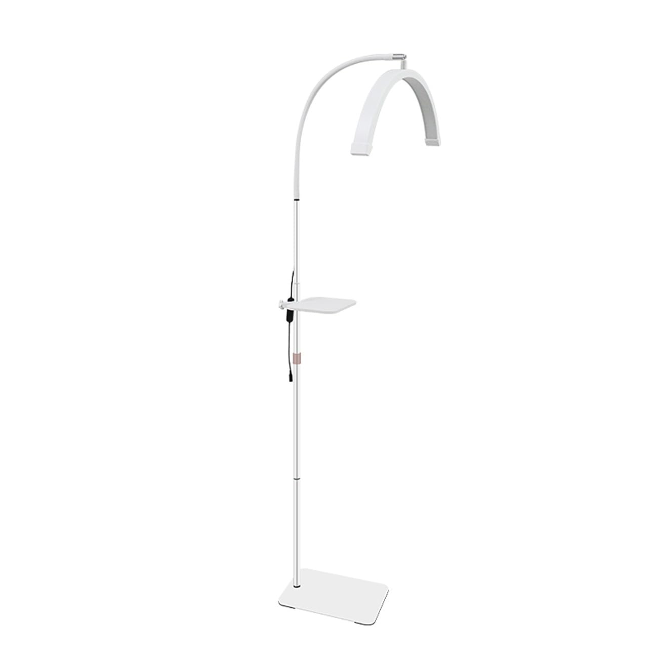 ayex LED Beauty Lampe dimmbar höhenverstellbar U-Bogen Stehlampe mit Ablage Kosmetik Tattoo wimpern weiß 36W