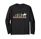 Photo Gallery design evolution per appassionati di cavalli con cavaliere maglia a manica Photo Gallery design evolution per appassionati di cavalli con cavaliere maglia a manica