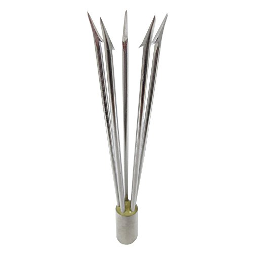 Scuba Choice Spearfishing Lionfish 6" Pole Spear Tip 5 Prong Paralyzer w/Barbs, 6mm