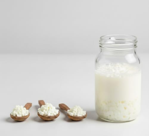 Image of Kefit by NatuDelight Live Milk Kefir Grains - 3 Tsp Fresh Active Culture