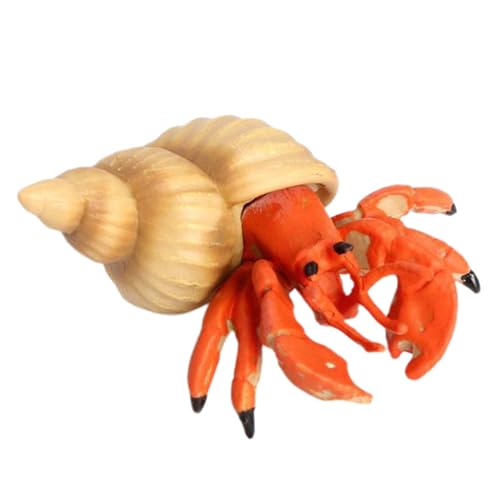 Dtharen hJf - C̐f Jj tBMA I[V[h  - 猻IȊC̃Jĵ̊C̓Xg̉Ƃ̑X̃fBXvC