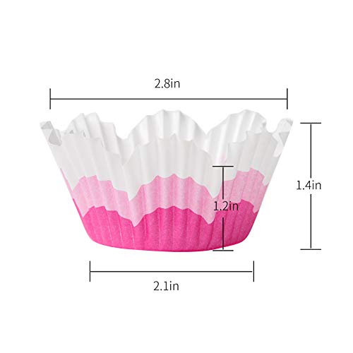 Barry's Home Standard Size Baking Cups, No Smells Rainbow Cupcake Liners, Paper Grease Proof Petal Muffin Wrappers, Pack Of 192 #TOP1