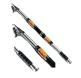 ✘ Wurfgewicht: 60 - 120g DD-Tackle Teleskoprute Karpfenrute Partis-AN nach Wahl 3,00m - 3,60m 60-120g Angel Rute (3,00m 60-120g)