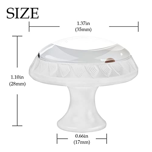 Boutons de tiroir oiseau lot de 12 poignées commode robustes