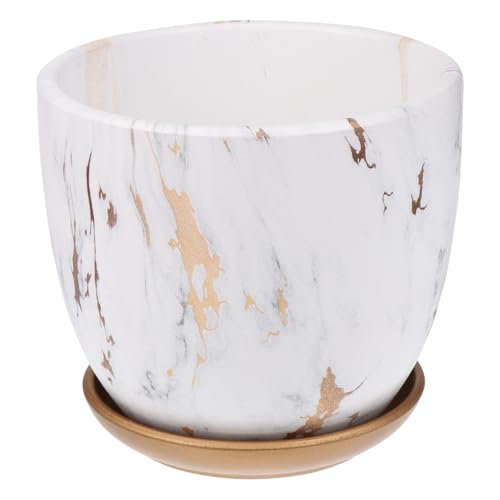 SOIMISS Macetero de Cerámica para Plantas Suculentas Bandeja, Maceta Decorativa para Interior, Adecuada para Escritorios, Armarios y Ventanas