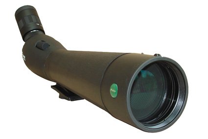 Olivon T900 Ed