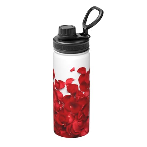  Ԃo KN ԕ XeX{g @r 500ml  ۗۉ ^fM X|[c{g e nht ^ Rh~  oR AEghA ʋ ʊw