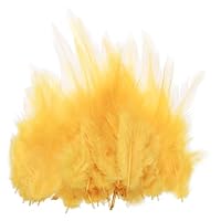200 Plumes Colorées PATIKIL Rose Clair - Plumes De Coq Pour Loisirs Créatifs Et Décoration
