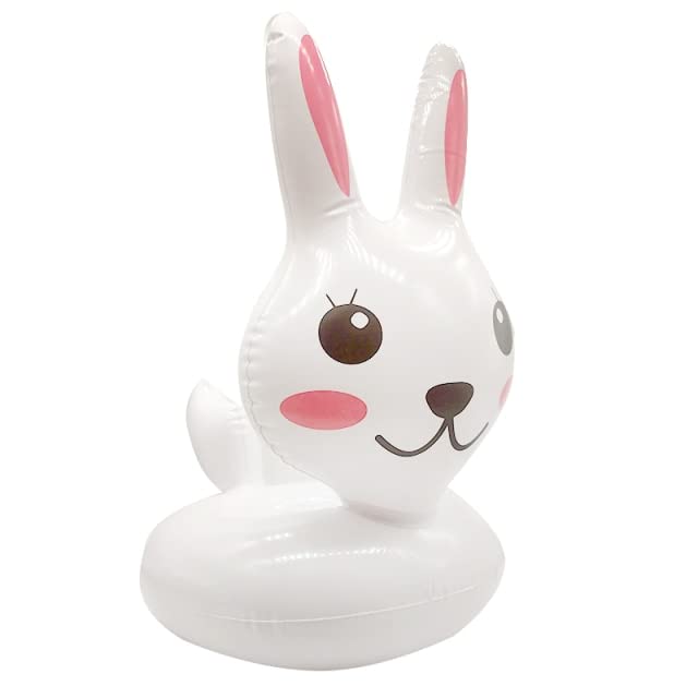 New Lifebuoy Beach Ring for undefined Doll Toys for Girls Doll Accessories for Doll Baby Toy Dolls for Girls Fashion (NO.CG)