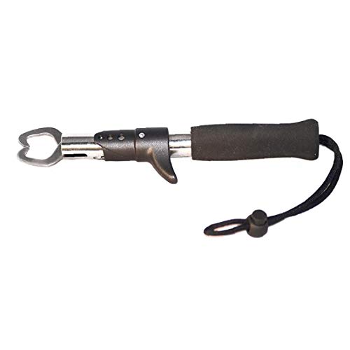 Acciaio inossidabile Pesce pinza labbro durevole