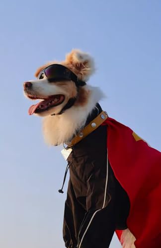 Disfraz de capa roja para perro superhéroe talla Large miniatura 7