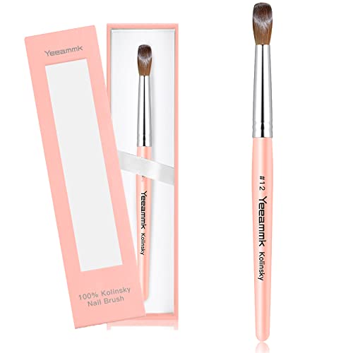 15 Best nail brushes for acrylic application size 12 in 2022