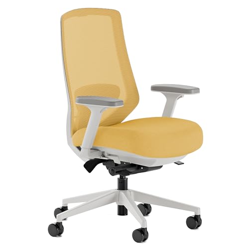 Branch Ergonomic Mesh Office Chair with Adjustable Features