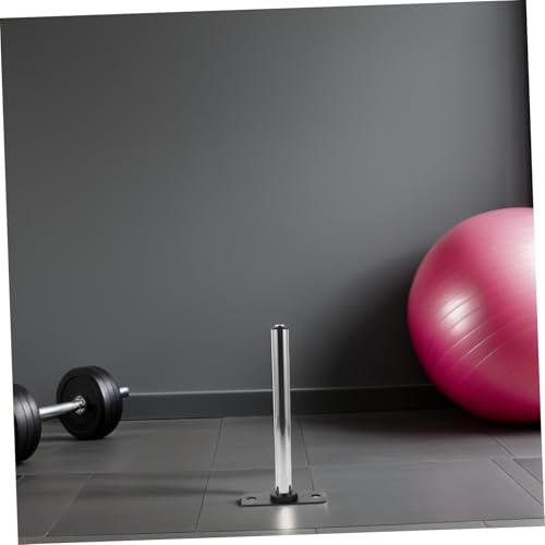 Support mural barre et disques de poids HEMOTON pour musculation - 5