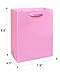 Gcardist Pink Gift Bags with Tissue Paper for Wedding, Birthday, Party - Medium Size Cardboard Gift Bags (5pcs + 10pcs Tissue Paper)