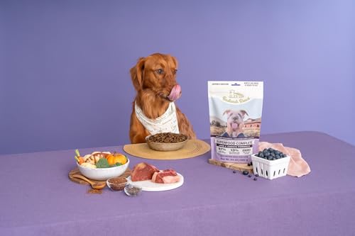 Badlands Ranch By Katherine Heigl- Superfood Complete, Air-Dried Adult Dog Food - High Protein, Zero Fillers, Superfood Nutrition  thumb #7