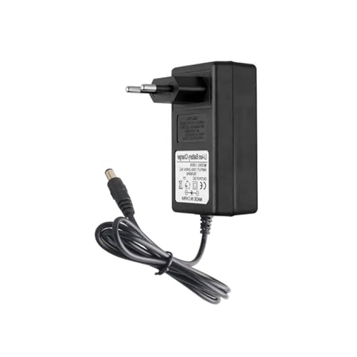 Lithium Ion Battery Charger of Blucky Cordless Pressure Washer