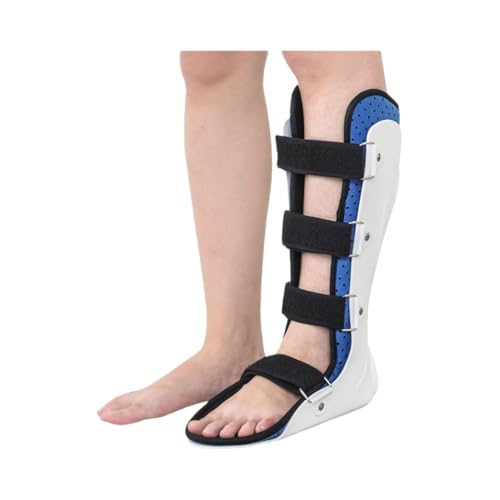 ZMBJ ؖԑ T|[gu[X   AFO u[X   ̉ P  ؖ  T|[g ALXF (E-O^CviOv[gȂj,38-41TCY)