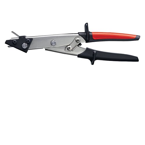 Bessey Erdi D24 Roditrici a Testa Piana