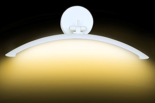 Weldecor 6W Architectural Design Curved LED Picture/Mirror Light (Warm Golden)