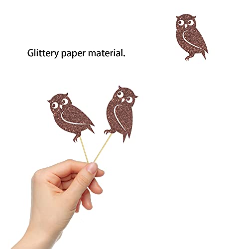 Set Of 24 Glitter Owl Cupcake Toppers, Animal Themed Baby Shower Dessert Decor, Baby Birthday Party Decorations Supplies - Brown #TOP2
