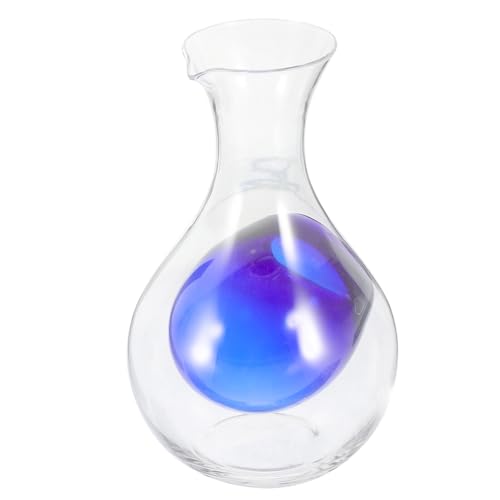 HOLIDYOYO Décanteur à Vin Verre Avec Design Ergonomique Et Espace Pour Glace Carafe Élégante Pour Amateur De Vins Et Dégustations