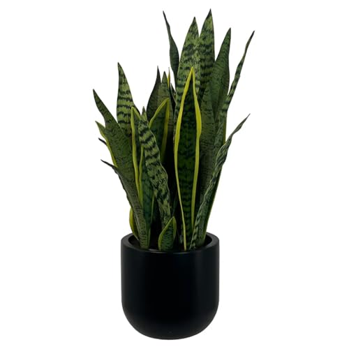 CG Hunter Faux Snake Plant, Premium Artificial Indoor Plant Stands 30&rdquo; Tall and Enhances Interior...