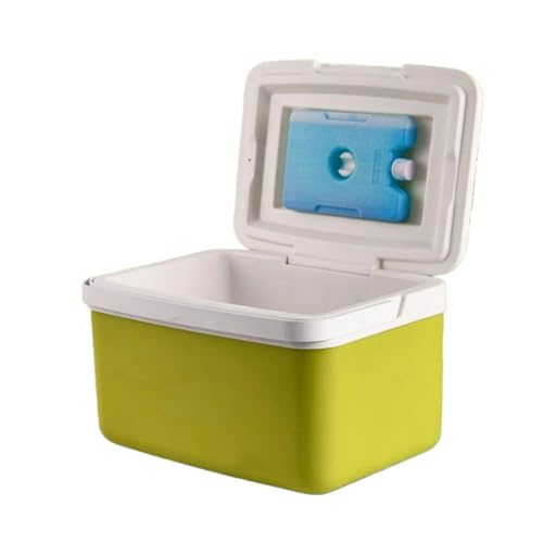 Mini glacière portable ice chest pour conservation fraîcheur voiture et pique-nique