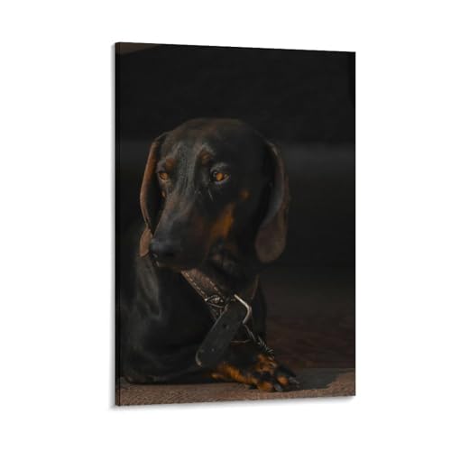 Poster chien teckel toile 20x30 cm | Lot de 21 pièces impression moderne