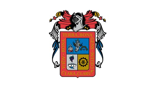 Drapeau Aguascalientes 6.7m² toile paysage format géant - 2