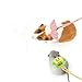 Hamster Harness and Leash Set - Cute Cartoon Escape-Proof Small Animal Vest with Bell, Comfortable Nylon Hamster Leash for Dwarf Rabbits, Guinea Pigs, Hedgehogs (Pink Wings)
