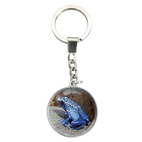Magnidome Frog Keychain from Deluxebase - Dome shaped Picture Key