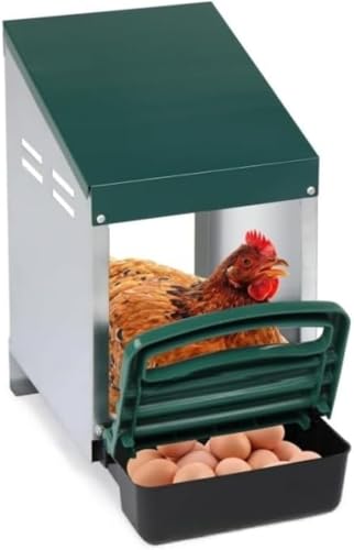 LumingLight�������p�P�[�W�{�̑����{�̗��Y���{�b�N�X���K�ȍL�X�Ƃ����|�����ȒP�Ȍ{�A�q���Ƌחp (1�̌�)