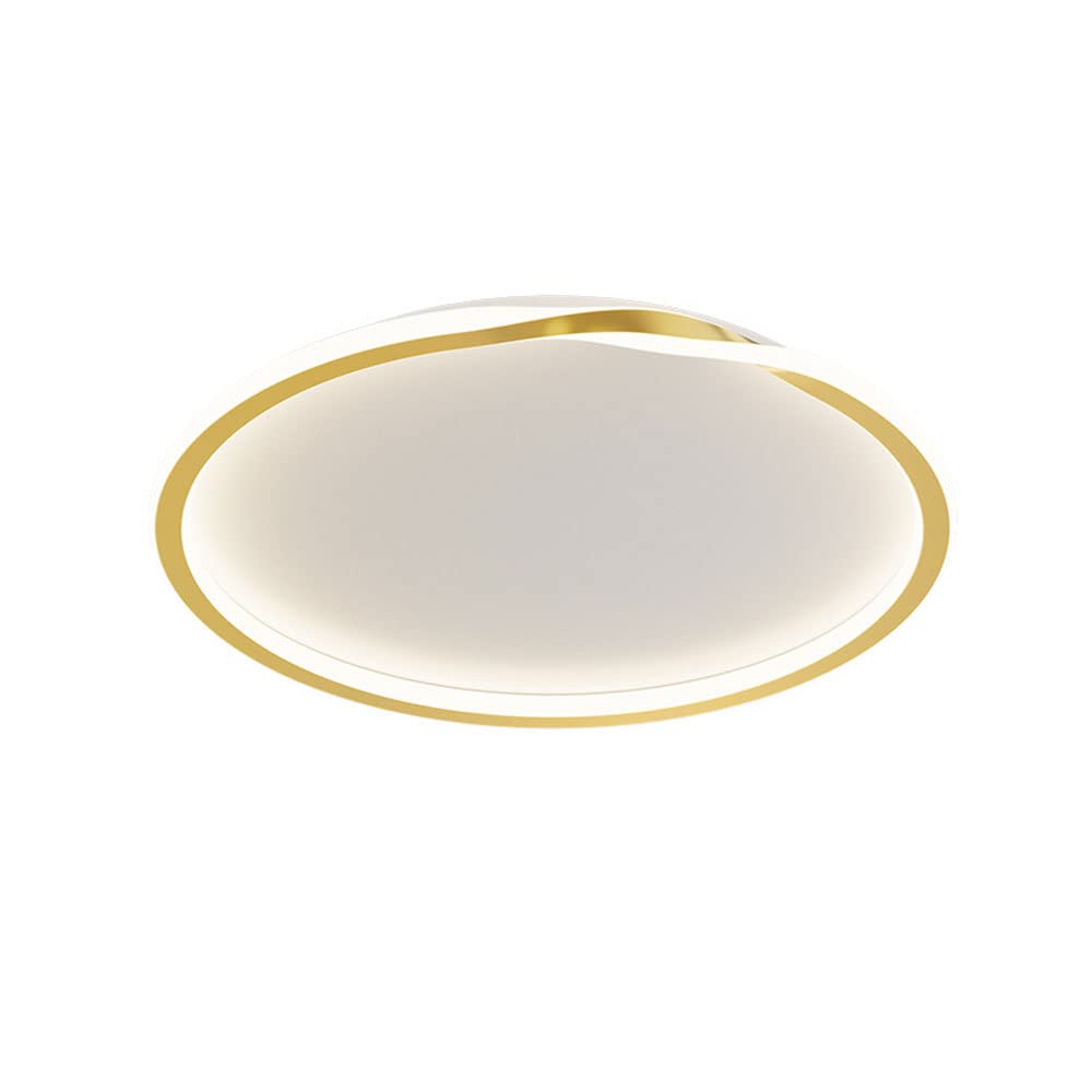 Plafonniers à disque acrylique lampe LED moderne dorée décoration intérieur luminaire encastré