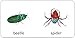 Eric Carle:12 Board Books M1L