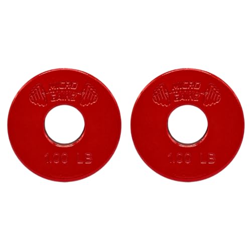 Micro Gainz - 2 discos de peso fraccionales estándar de 1 pulgada con agujero central, 2 unidades, a elegir (0.25 libras-1.3 libras), diseñadas para mancuernas y mancuernas estándar de 1 pulgada para