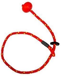 Gundog heeling lead Clearance