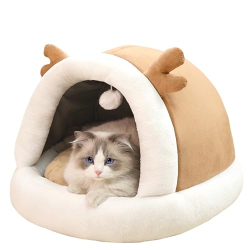 Vilom ӂӂybgxbh Lp p fUC ۉ h O lGʗp K NbV ybgQ p   (R[q[F,S)