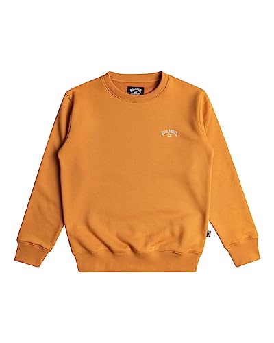 Sweater garçon Billabong Arch CR pour le skatepark et la rentrée scolaire