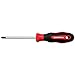 GEDORE RED 2C-screwdriver PH2 l.100mm