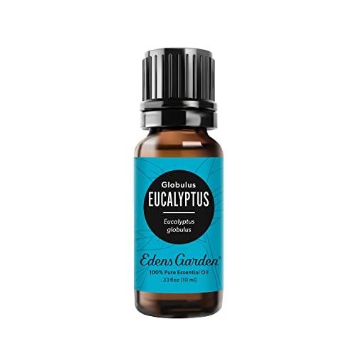 Edens Garden Eucalyptus - Globulus Essential Oil- 100% Pure Premium Grade, Undiluted, Natural, Therapeutic, Aromatherapy, The Best for Diffuser, Candle, Hair, Humidifiers 10 ml (.33 fl oz)
