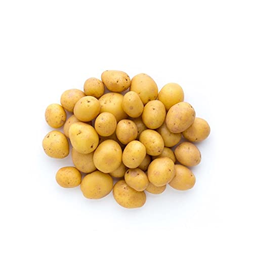 Veenas Fresh Baby Potato | 500G | Potato Fry | Tasty and Delicious | Fresh Vegetable | Indian Origin