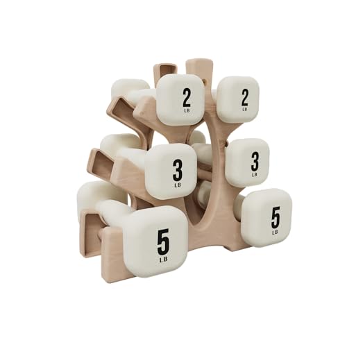 PAETA Neoprene Dumbbell with Curved Grip