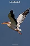  Pelican Notebook: Cool Pelican notebook - Travel Journal to write in - 120 pages - 6\