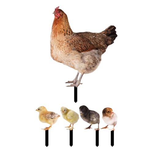 BAZEITFLOW 5 { J[h } { A  Y { { Ő   i 